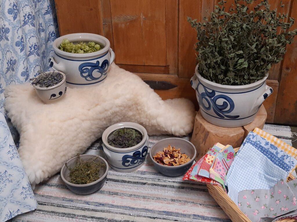 Kinderprogramm im Kritérstieblé Sonthofen: Kräuterwanderung, Kochen und Filzen mit Kindern im Allgäu