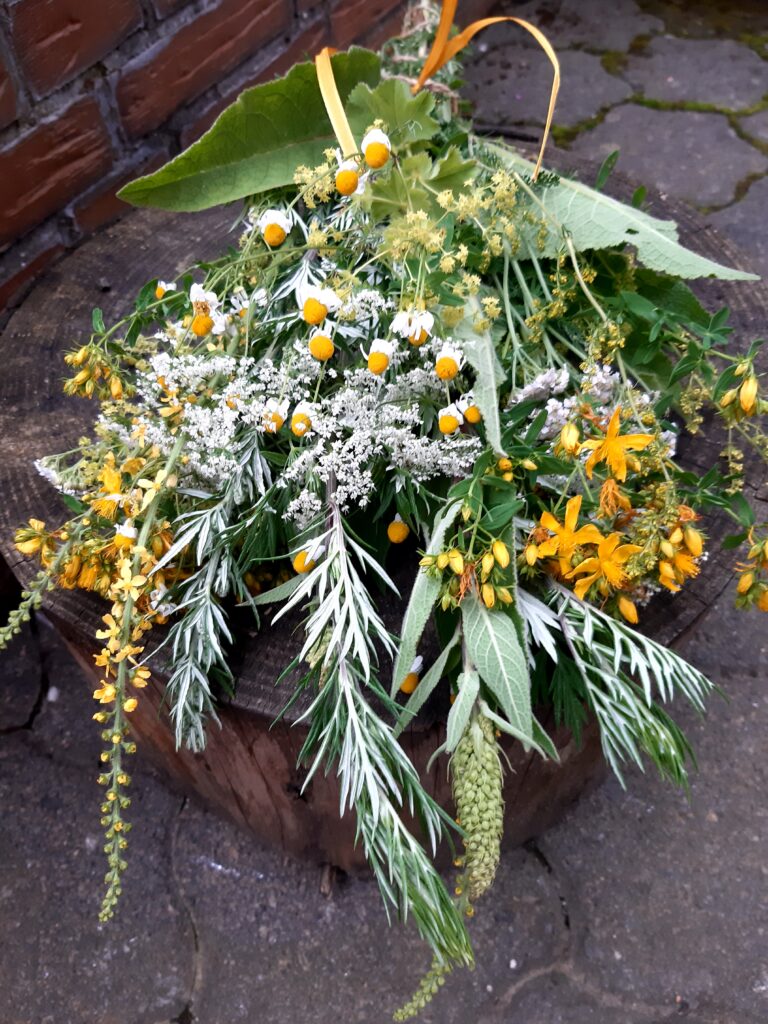 Frauenkraft und Wildkräuter: Workshop in Dautphetal bei Marburg mit Wildkräuter-Imbiss und Frauen-Kraft-Balsam