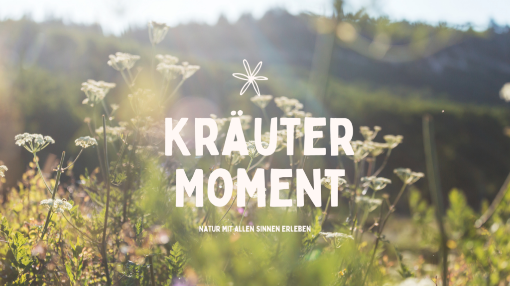 Kräutermoment Kräuterpädagogin Christina Armbruster Sigmaringen Natur mit allen Sinnen