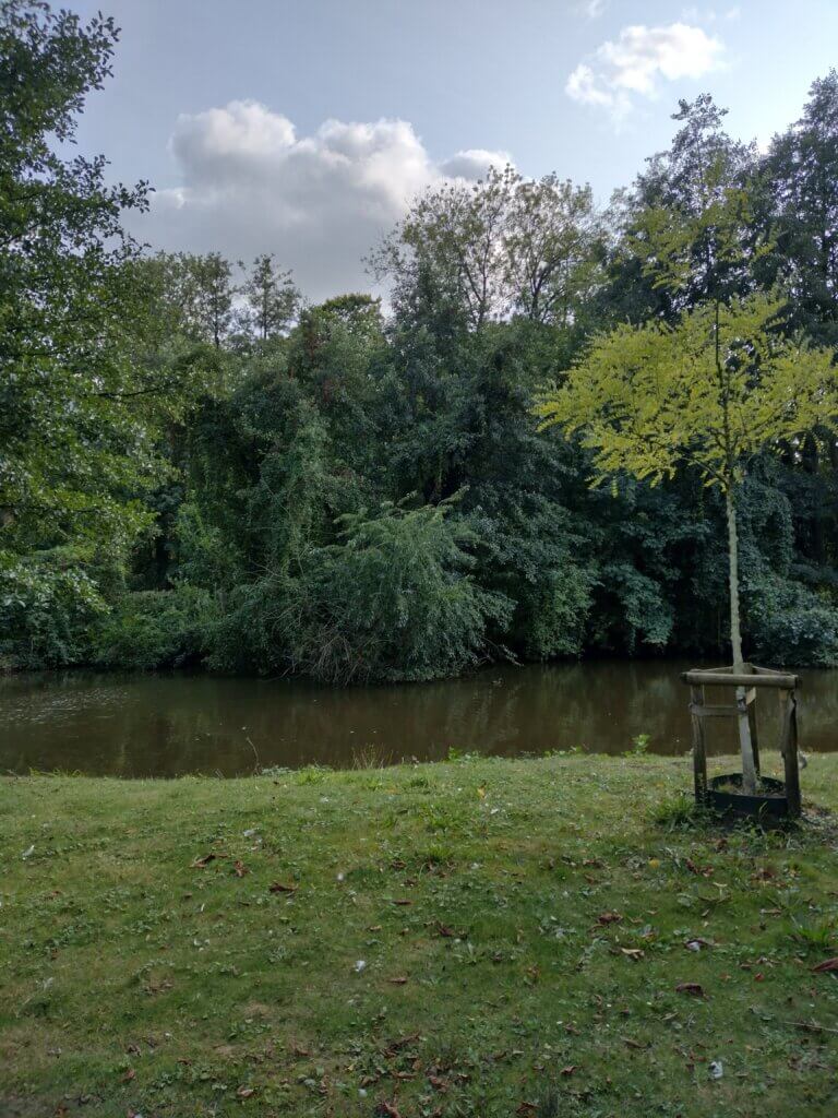 Kräuterwanderung Wildkräuter Heilpflanzen Graftinsel